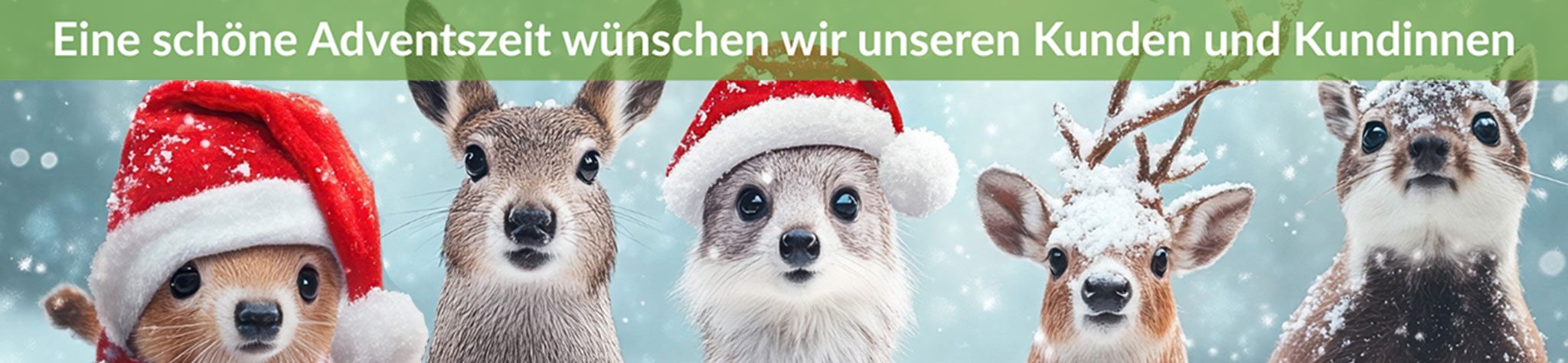 Schöne Adventszeit